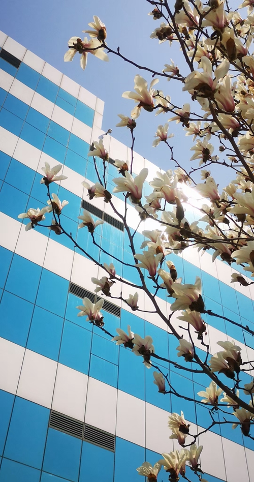 LEDONG.COM_乐动ledong（中国）2021年度业绩再创新高