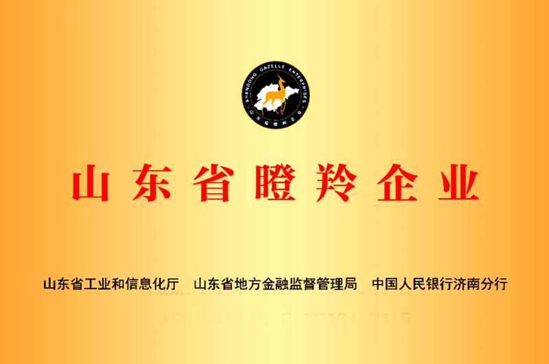 LEDONG.COM_乐动ledong（中国）新增三家山东省“瞪羚”企业