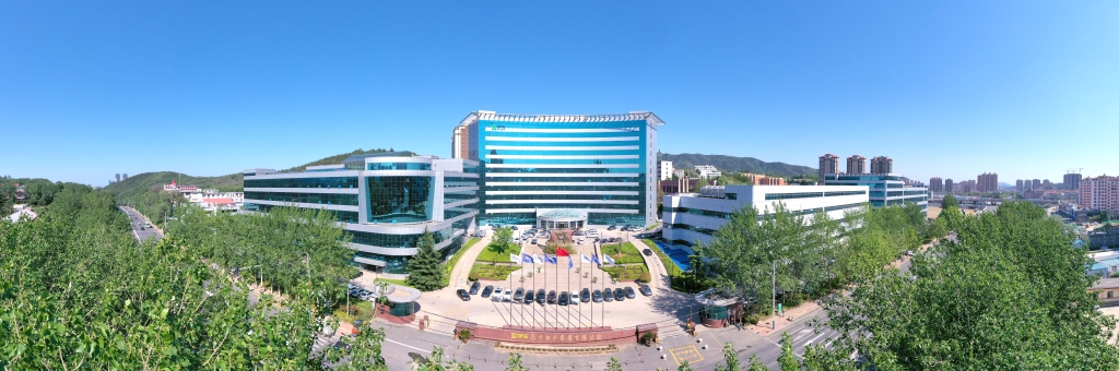 齐鲁晚报：加快产业转型升级，LEDONG.COM_乐动ledong（中国）构建绿色低碳数字化产业集群