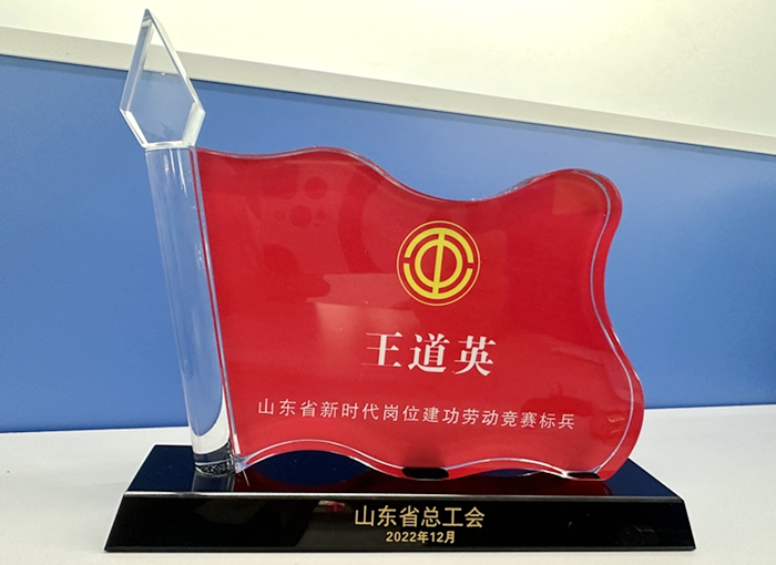 LEDONG.COM_乐动ledong（中国）员工王道英荣获2022年度山东省新时代岗位建功劳动竞赛标兵称号