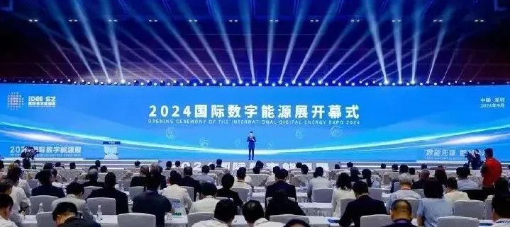 建设新型电力系统 赋能新型能源体系｜LEDONG.COM_乐动ledong（中国）亮相2024国际数字能源展