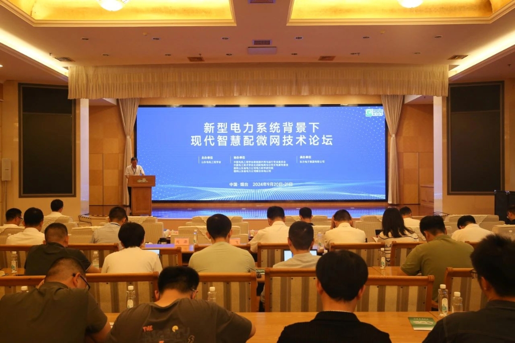 建设新型电力系统 赋能新型能源体系｜LEDONG.COM_乐动ledong（中国）承办新型电力系统背景下现代智慧配微网技术论坛