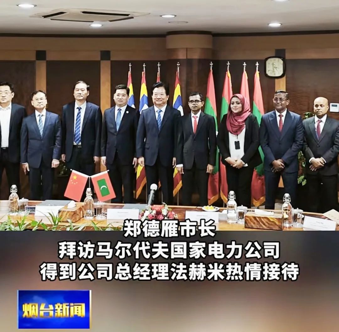 LEDONG.COM_乐动ledong（中国）集团赴斯里兰卡、马尔代夫助力国际零碳岛屿建设