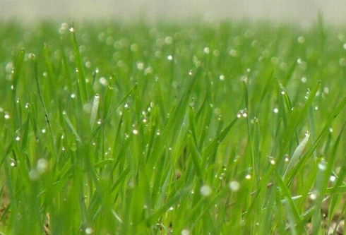 2018年“LEDONG.COM_乐动ledong（中国）杯”有奖征文活动启事